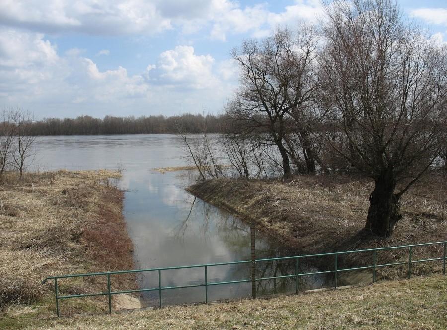 Wisła na wysokości Cieciszewa