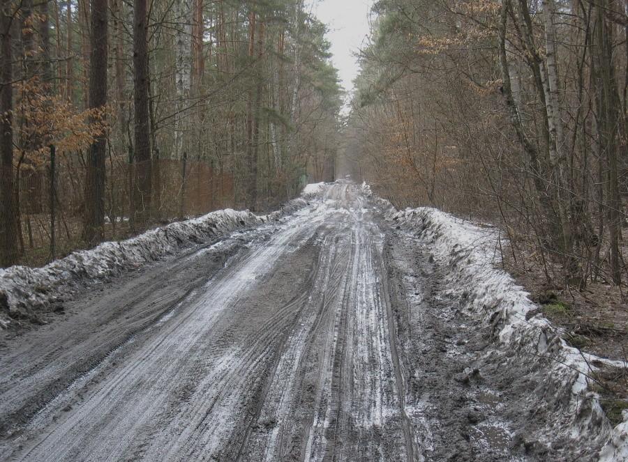 Droga między Krępą, a Zalesiem Górnym