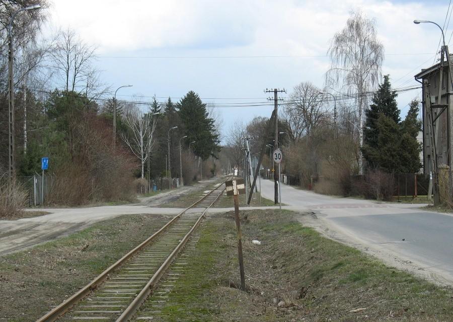 Tory wąskotorówki w Zalesiu Dolnym