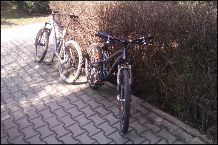 Canyon i Specialized