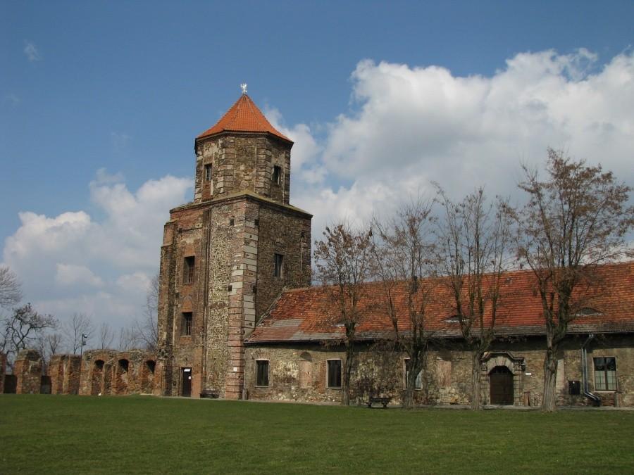 Zamek w Toszku
