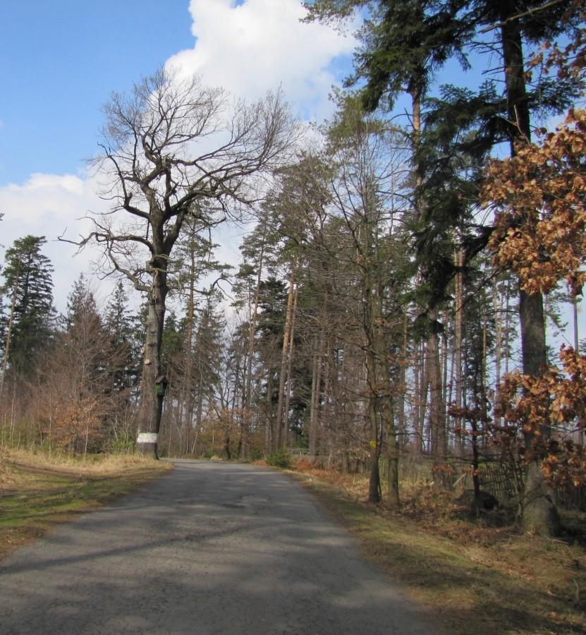 Zjazdy i podjazdy w drodze do Podvihova