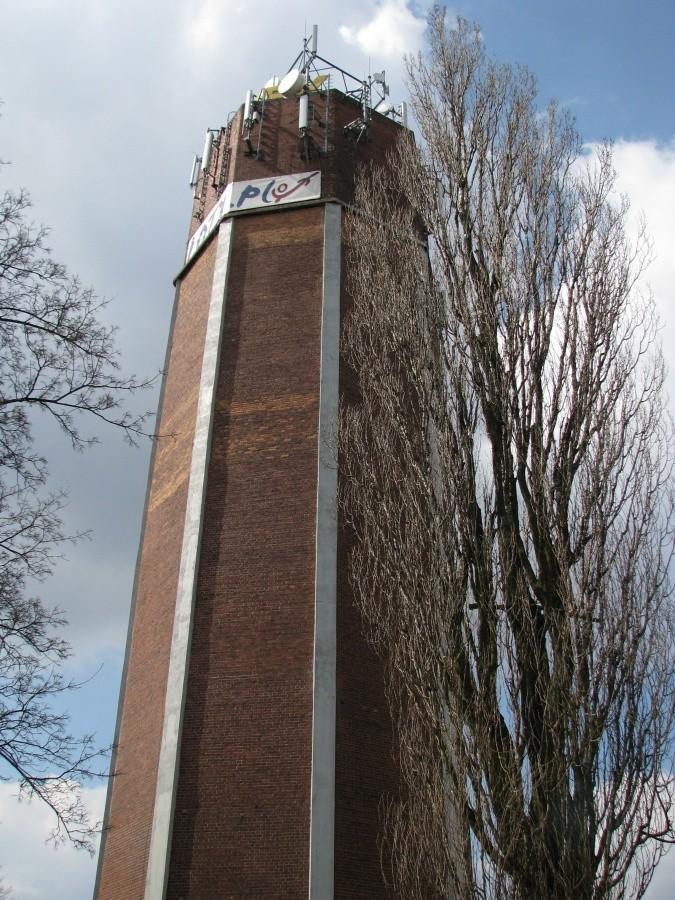 Wysoko