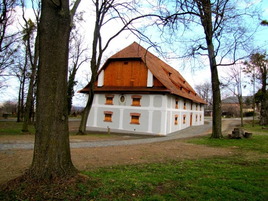 Okolice pałacu w Raduniu