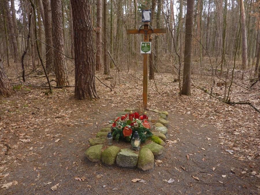 Jeden z grobów żołnierzy Armi Krajowej w lesie pomiędzy Nadarzynem a Podkową Leśną