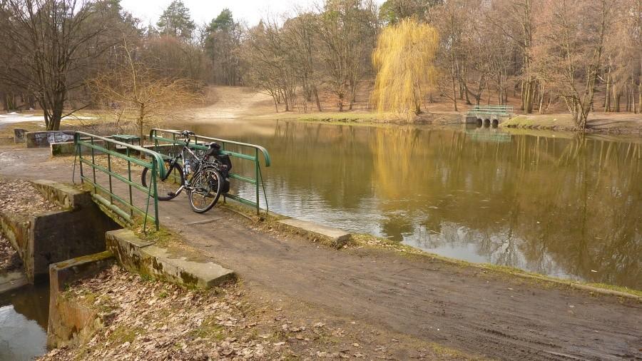 Park miejski w Podkowie Leśnej