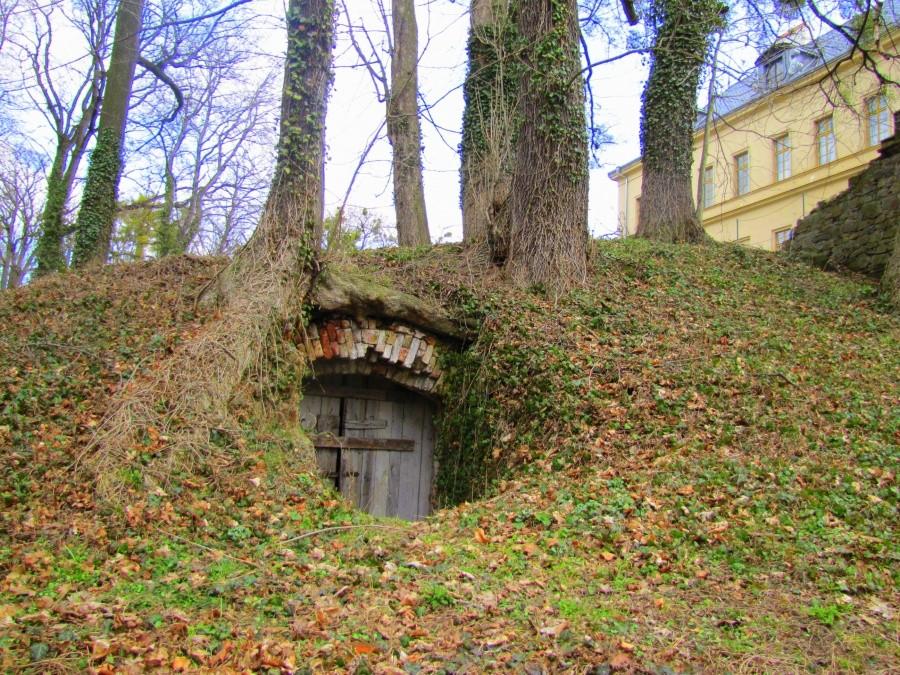Pałacowa piwnica