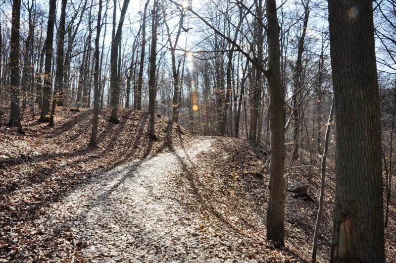 W drodze powrotnej do zamku...
