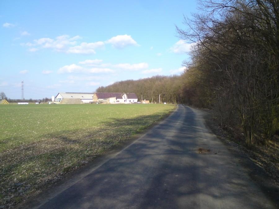 Droga przez Lipie Laski