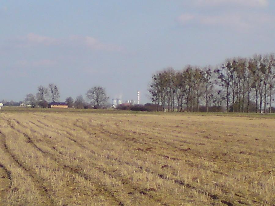 A i jeszcze Elektrownia Opole się załapała