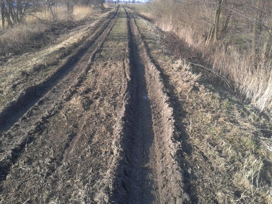 Moja dróżka......