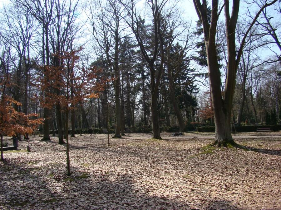 Tajemnice Szczecina - Szlakiem książki pod tym tytułem. 029