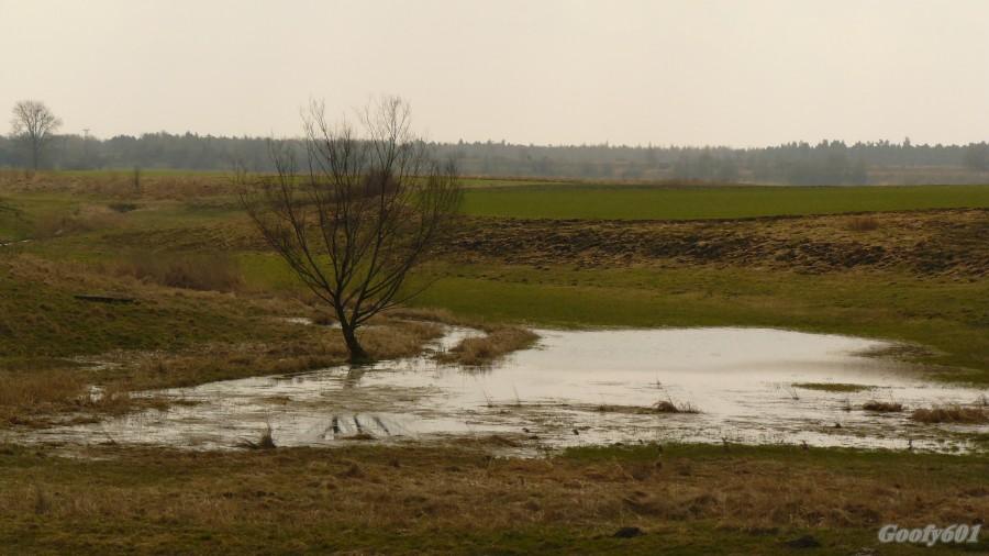 To już napewno wiosna :)