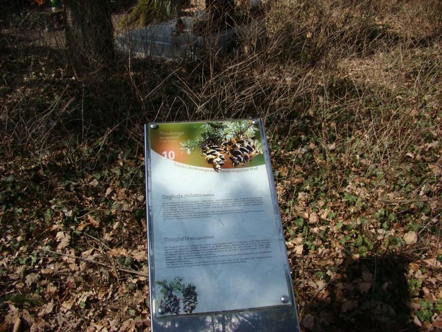 Tajemnice Szczecina - Szlakiem książki pod tym tytułem. 048