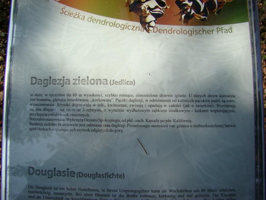 Tajemnice Szczecina - Szlakiem książki pod tym tytułem. 049