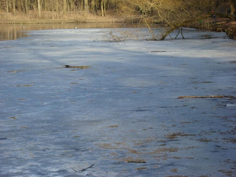 Tajemnice Szczecina - Szlakiem książki pod tym tytułem. 065