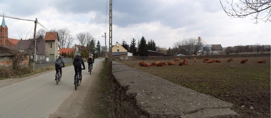 Trójca ciśnie w stronę Kamieńca a po drodze chcą zahaczyć zalew Pilce.