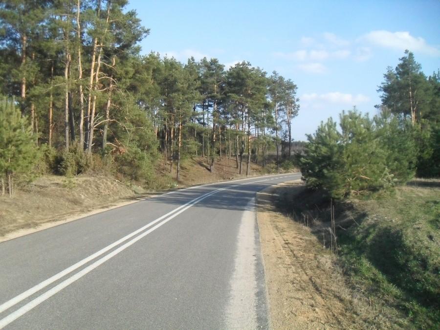 droga z borowej do ostrów