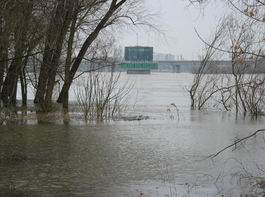 Gruba Kaśka