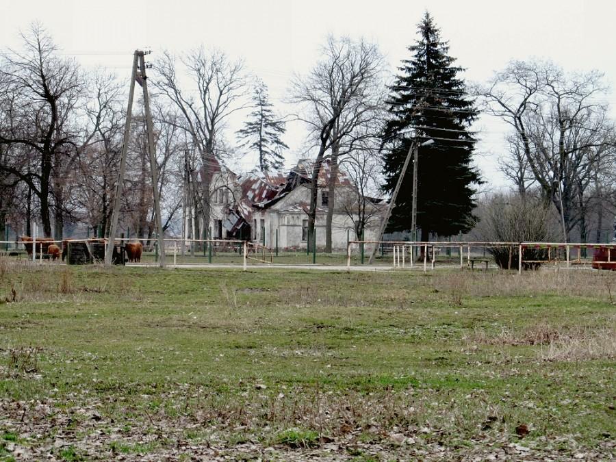 Żdżarów