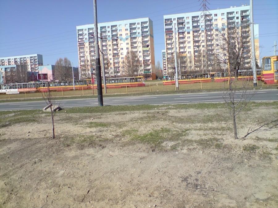 Łódź Widzew