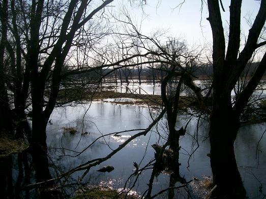 Tamtędy gdzieś biegnie niebieski szlak nad Jeziorką