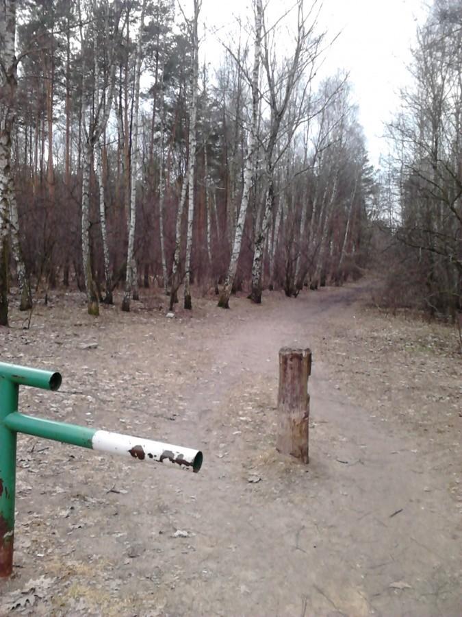 Wreszcie zniknął śnieg..