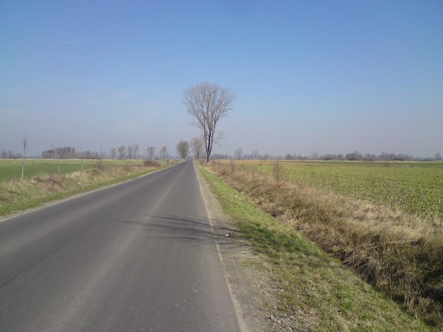 Gdzieś jeszcze na Opolszczyźnie