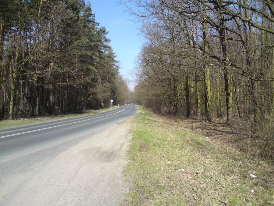 A tu już droga bardzie ruchliwa tuż przed Jelczem-Laskowice