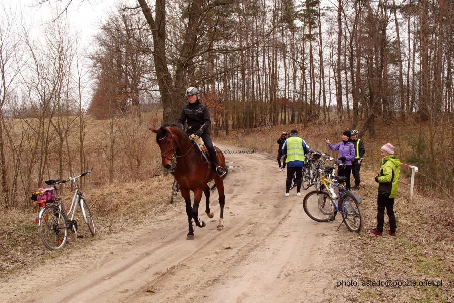 Na szlaku konnym- niedaleko Boroszewa