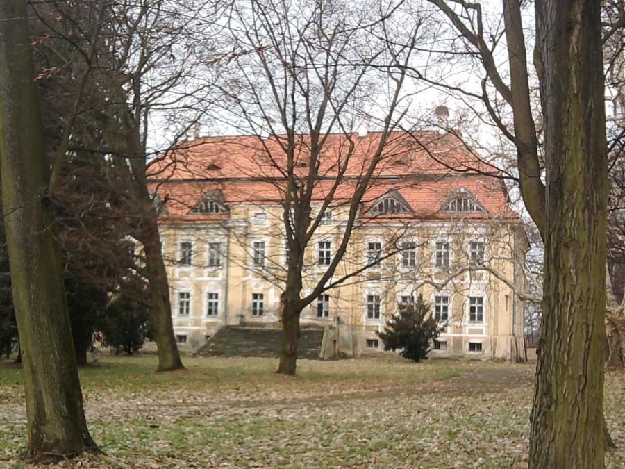 Pałac w Sułowie z oddali