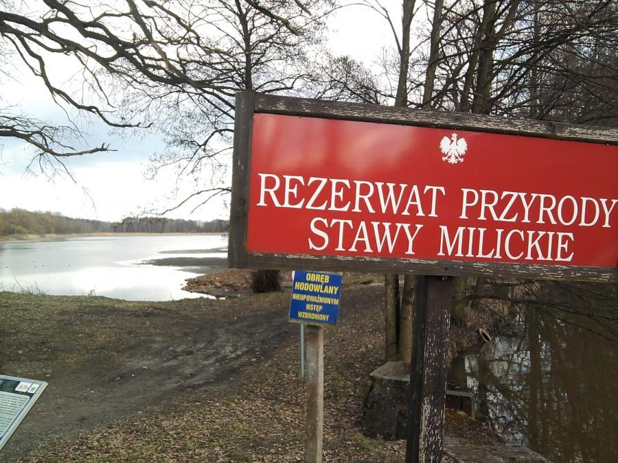 Ruda Milicka i początek rezerwatu [niewidoczny ciekawy jaz na Prądni 4,5 m spietrzenia wody)