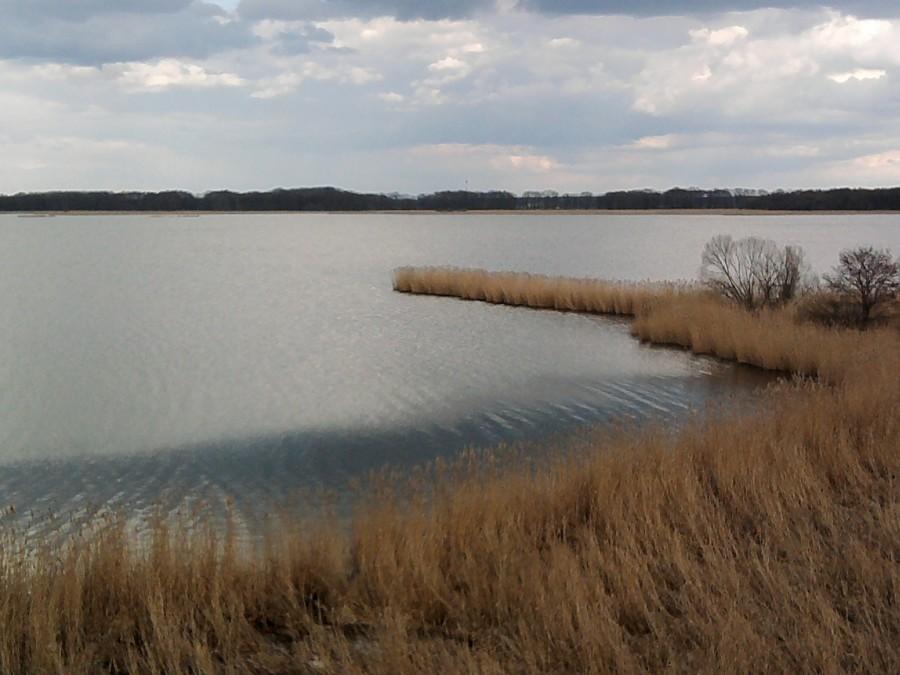 Widok z wieży na 289 ha staw Grabownica