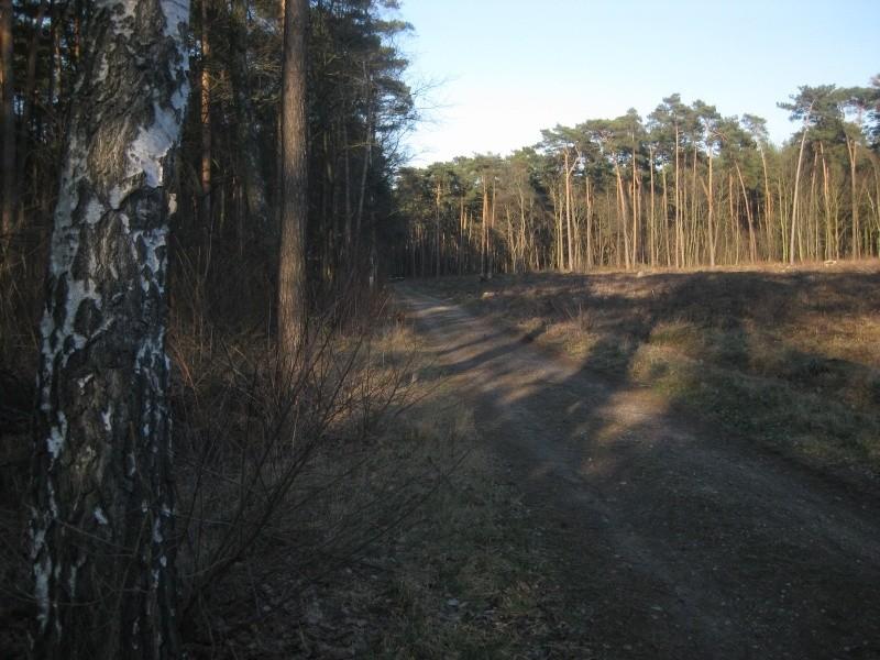 kawałek terenu