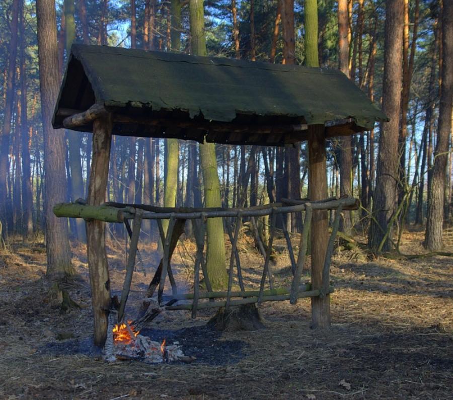 jakiś kretyn zrobił sobie ognisko z paśnika w środku lasu