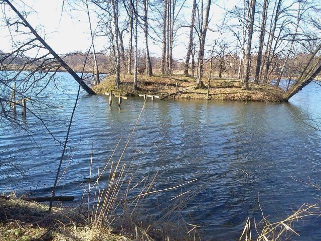 Debowiec wyspa na stawie