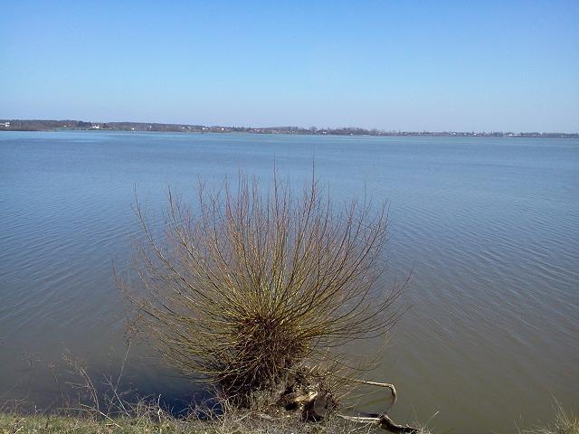 Jezioro Goczałkowickie