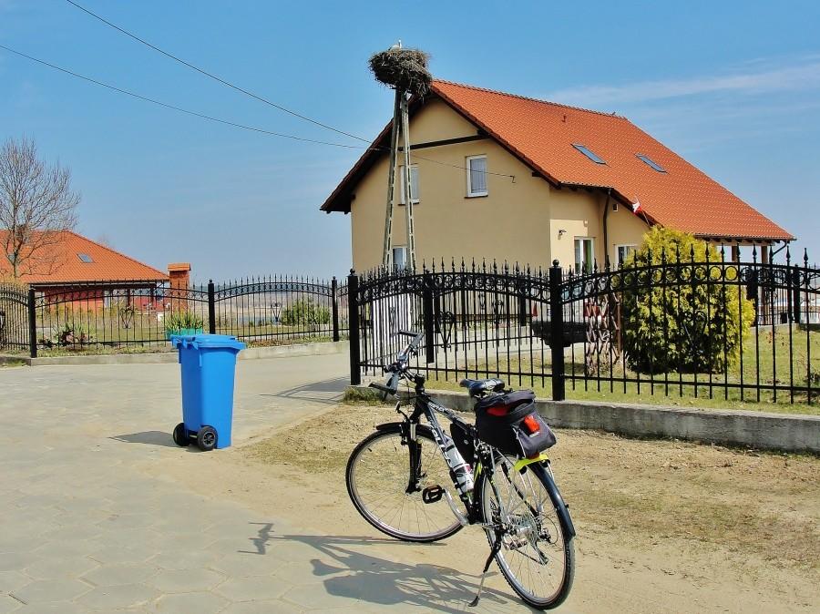 Bociany już wróciły.