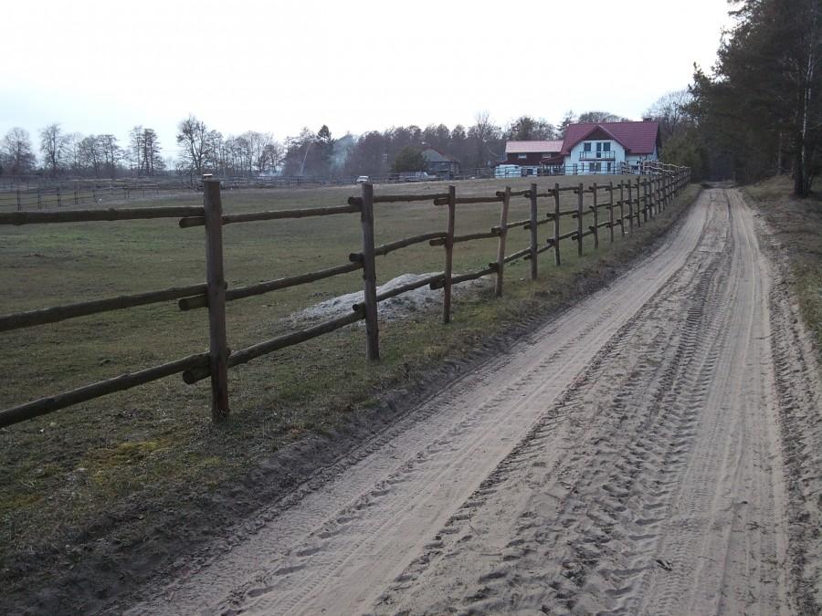 Stadnina koni w Czarnem