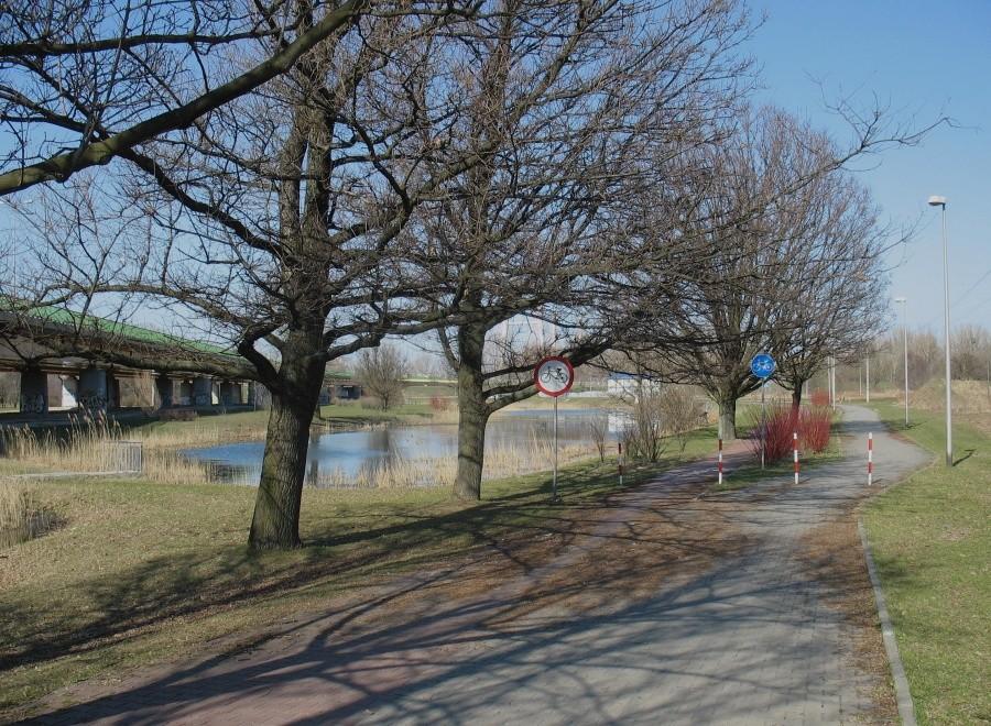Ścieżka rowerowa przy estakadzie Trasy Siekierkowskiej