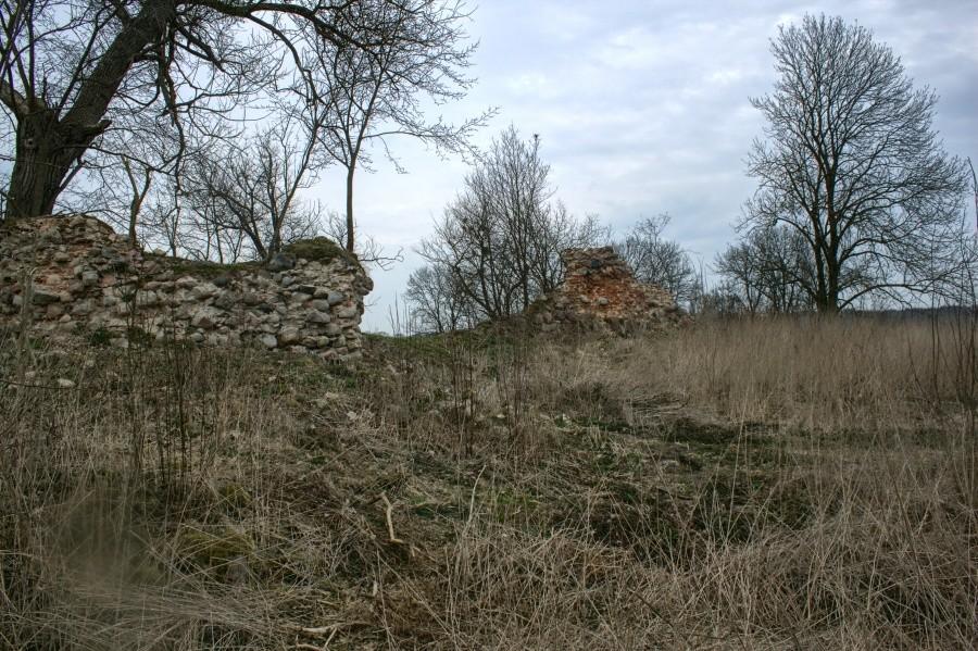 Ruiny zamku w Krępcewie _ Zamek w Krępcewie wzniesiono w połowie XIV wieku. Wcześniej na jego miejscu stał drewniano-ziemny gród, zbudowany ok. 1310 przez przedstawicieli rodu Wedlów i zniszczony w 1338 przez wojska księcia szczecińskiego Barnima