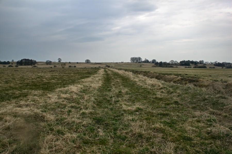 droga stawała się coraz gorsza, już tylko ślady ciągników na łące