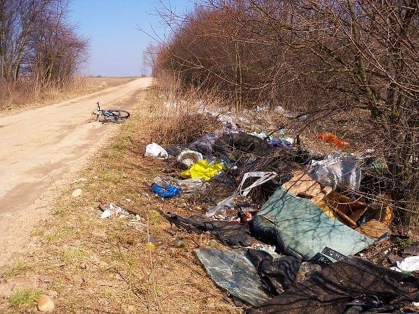 Szutrówka meandrująca wesoło wśród pól i dzikich wysypisk