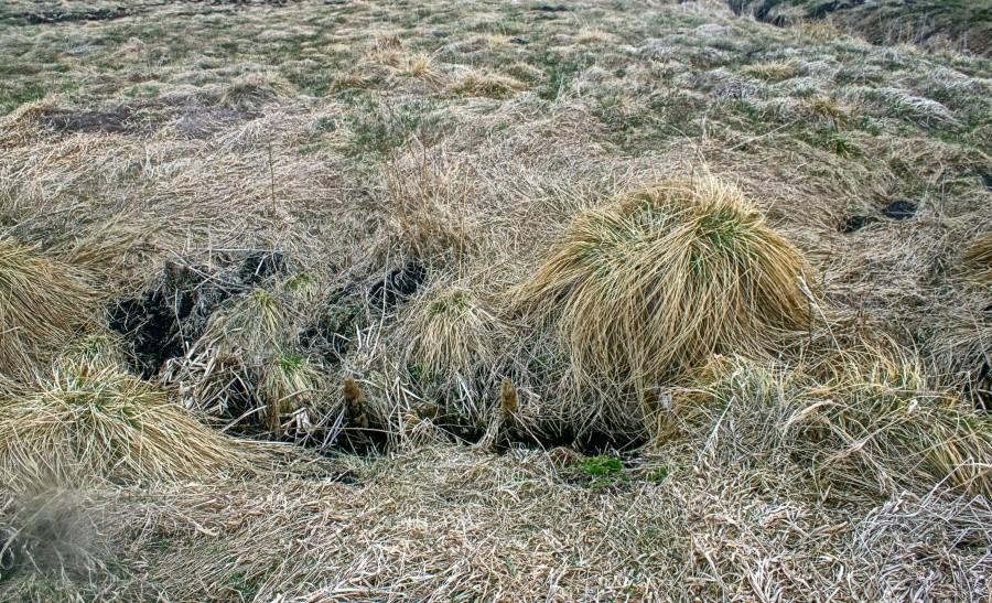 rowy do pokonania nie wymagały budowy mostów