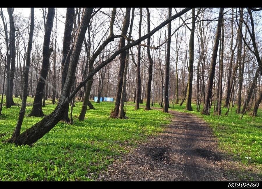 Dąbrowa Górnicza - Park Zielona