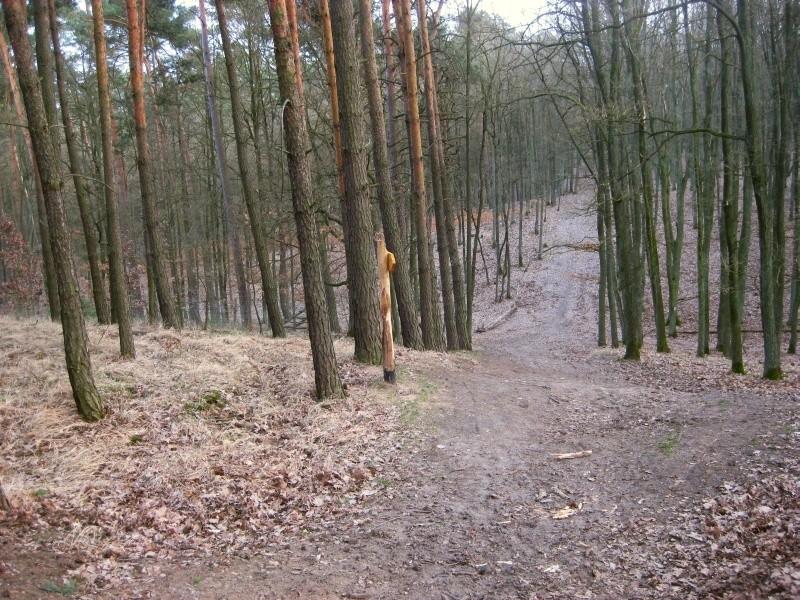 Dziewicza Góra - no i zjeżdżamy