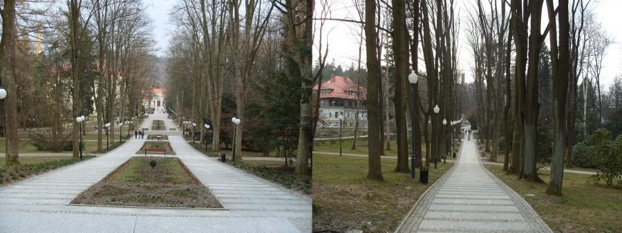 Park Zdrojowy powoli budzi się ze snu, coraz bardziej zielono, jeszcze z tydzień i będzie OK.