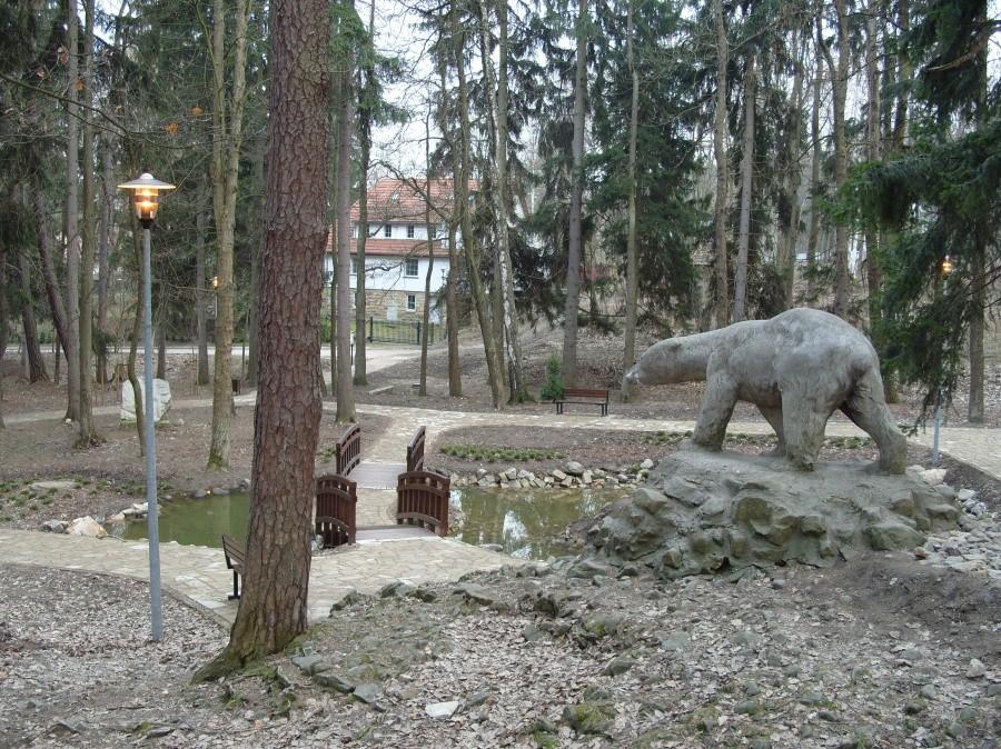 Niedźwiedź czeka spokojnie to czas się przywitać.