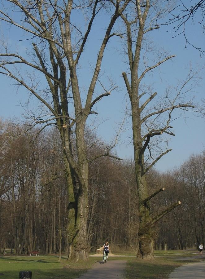 Strażnicy ścieżki rowerowej