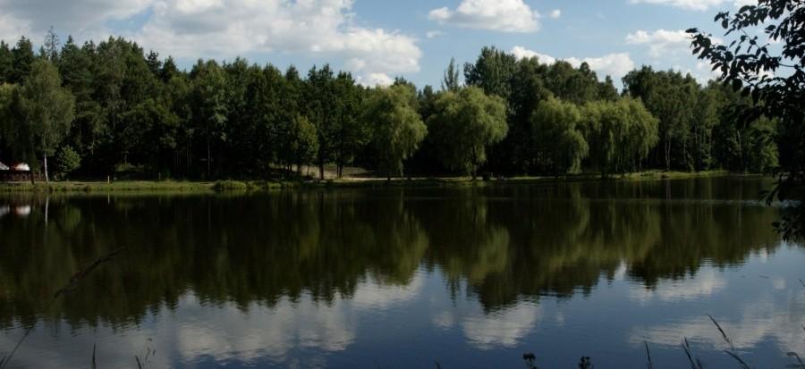 Już niedługo staw janina będzie wyglądał podobnie :)